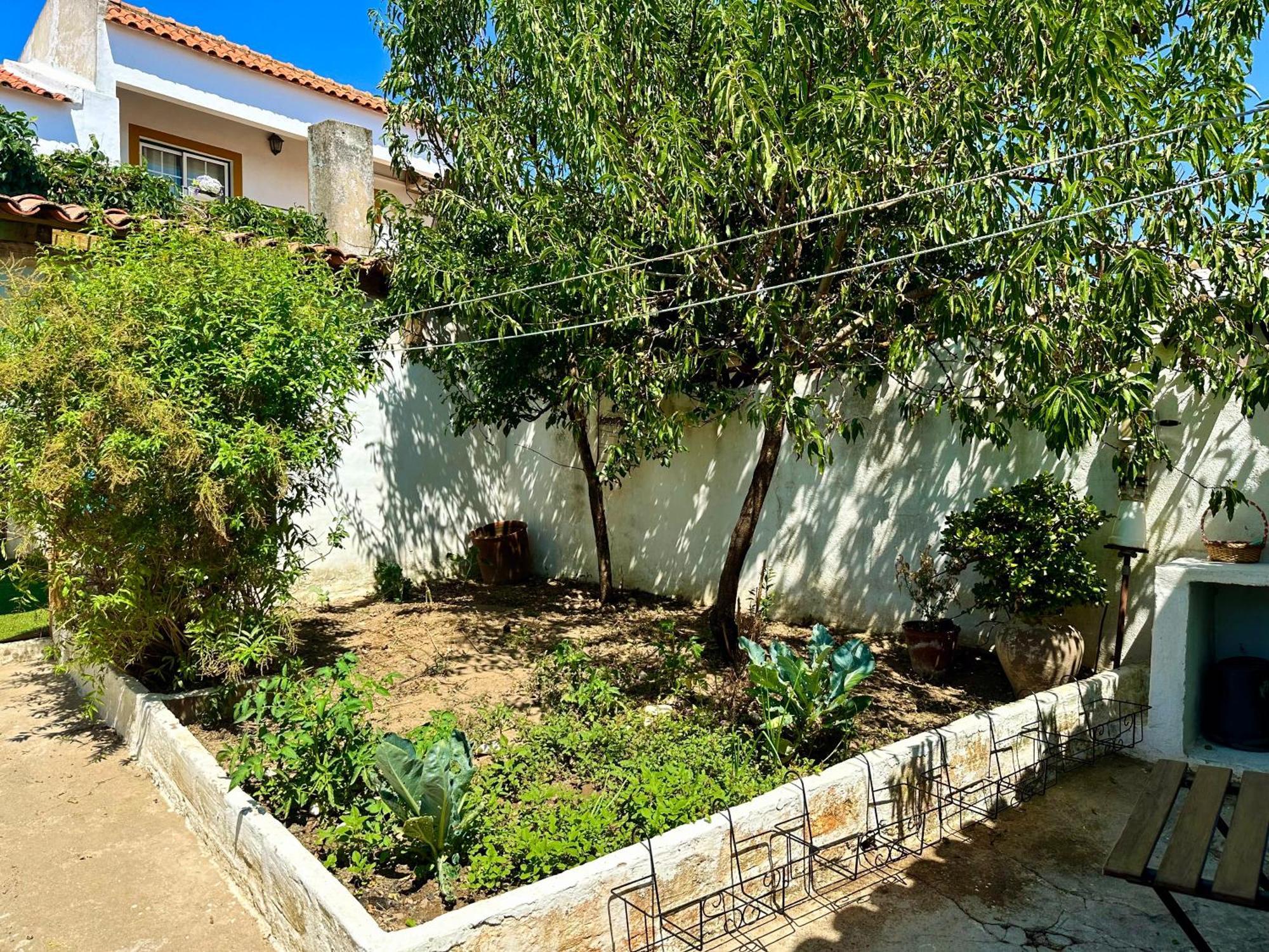 Atelier 20Th Villa Ervidel Bagian luar foto